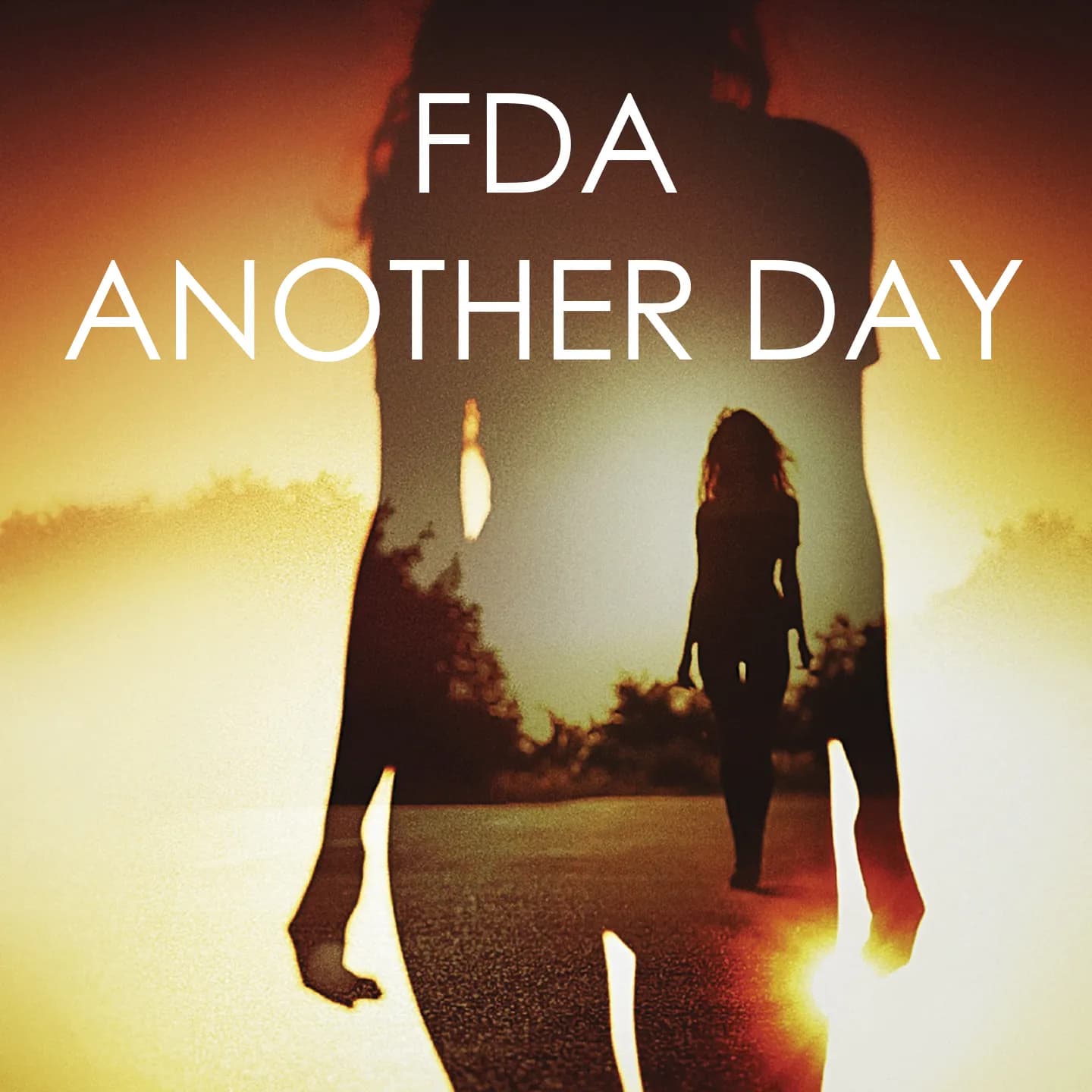 Vlad Zhukov & FDA - Another Day 2017